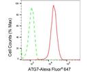 ATG7 Antibody in Flow Cytometry (Flow)