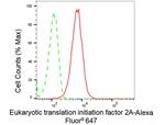 EIF2A Antibody in Flow Cytometry (Flow)