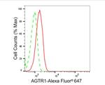 AGTR1 Antibody in Flow Cytometry (Flow)