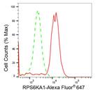 RSK1 Antibody in Flow Cytometry (Flow)