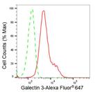 Galectin 3 Antibody in Flow Cytometry (Flow)