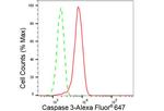 Caspase 3 Antibody in Flow Cytometry (Flow)