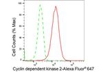 CDK2 Antibody in Flow Cytometry (Flow)