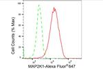 MEK1 Antibody in Flow Cytometry (Flow)