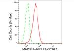 TAK1 Antibody in Flow Cytometry (Flow)