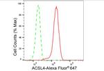 ACSL4 Antibody in Flow Cytometry (Flow)