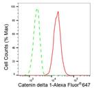 delta Catenin Antibody in Flow Cytometry (Flow)