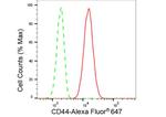 CD44 Antibody in Flow Cytometry (Flow)