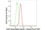 ARF1 Antibody in Flow Cytometry (Flow)