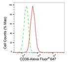 CD36 Antibody in Flow Cytometry (Flow)