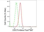 Cdc73 Antibody in Flow Cytometry (Flow)