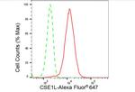 CAS Antibody in Flow Cytometry (Flow)