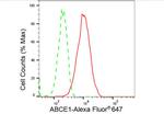 ABCE1 Antibody in Flow Cytometry (Flow)