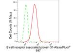 BAP31 Antibody in Flow Cytometry (Flow)