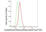 CBS Antibody in Flow Cytometry (Flow)