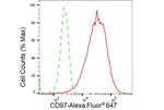 CD97 Antibody in Flow Cytometry (Flow)