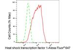 HSF1 Antibody in Flow Cytometry (Flow)