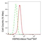 GRP78 Antibody in Flow Cytometry (Flow)