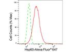 HSP60 Antibody in Flow Cytometry (Flow)