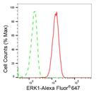 ERK1 Antibody in Flow Cytometry (Flow)