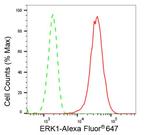 ERK1 Antibody in Flow Cytometry (Flow)