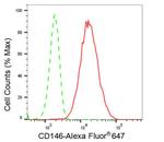 CD146 Antibody in Flow Cytometry (Flow)