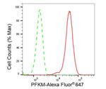 PFKM Antibody in Flow Cytometry (Flow)