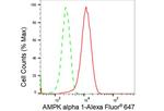 AMPK alpha-1 Antibody in Flow Cytometry (Flow)