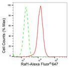 c-Raf Antibody in Flow Cytometry (Flow)