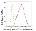 WNT5A Antibody in Flow Cytometry (Flow)