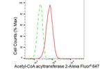 ACAA2 Antibody in Flow Cytometry (Flow)