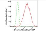 Desmin Antibody in Flow Cytometry (Flow)