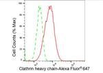 Clathrin Heavy Chain Antibody in Flow Cytometry (Flow)