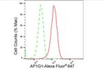 gamma Adaptin Antibody in Flow Cytometry (Flow)