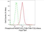 Phospho-4EBP1/2/3 (Thr46, Thr32) Antibody in Flow Cytometry (Flow)