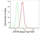 ATP7B Antibody in Flow Cytometry (Flow)