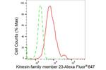 KIF23 Antibody in Flow Cytometry (Flow)