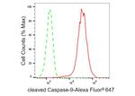 Caspase 9 (Cleaved Asp315) Antibody in Flow Cytometry (Flow)