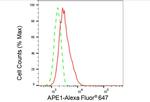 APE1 Antibody in Flow Cytometry (Flow)