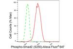 Phospho-SMAD2 (Ser250) Antibody in Flow Cytometry (Flow)