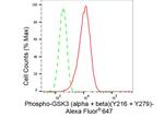 Phospho-GSK3 alpha/beta (Tyr216, Tyr279) Antibody in Flow Cytometry (Flow)