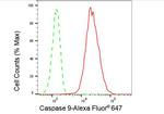 Caspase 9 Antibody in Flow Cytometry (Flow)