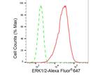 ERK1/ERK2 Antibody in Flow Cytometry (Flow)