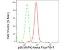 p38 MAPK Antibody in Flow Cytometry (Flow)