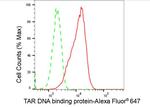 TDP-43 Antibody in Flow Cytometry (Flow)