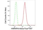 hnRNP M Antibody in Flow Cytometry (Flow)