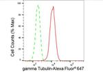 gamma Tubulin Antibody in Flow Cytometry (Flow)