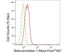 BACE1 Antibody in Flow Cytometry (Flow)