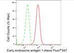 EEA1 Antibody in Flow Cytometry (Flow)