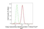 GRASP65 Antibody in Flow Cytometry (Flow)